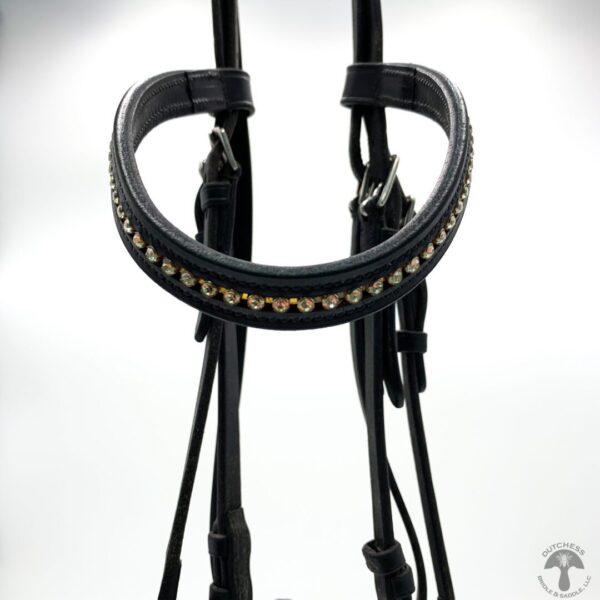 A close up of the bridle on a horse