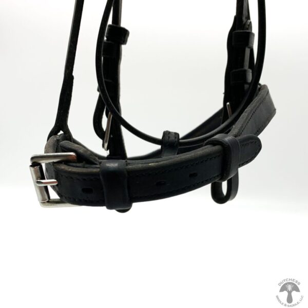 A close up of the bridle on a horse