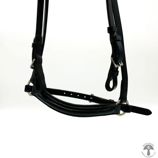 A close up of the bridle on a horse