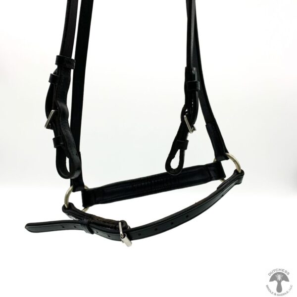 A close up of the front end of a horse bridle