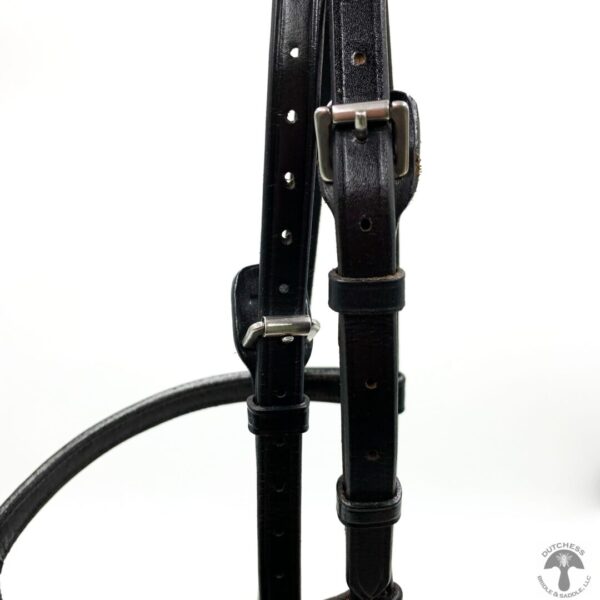 A close up of the bridle on a horse