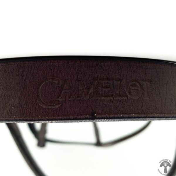 A close up of the logo on a brown leather strap.