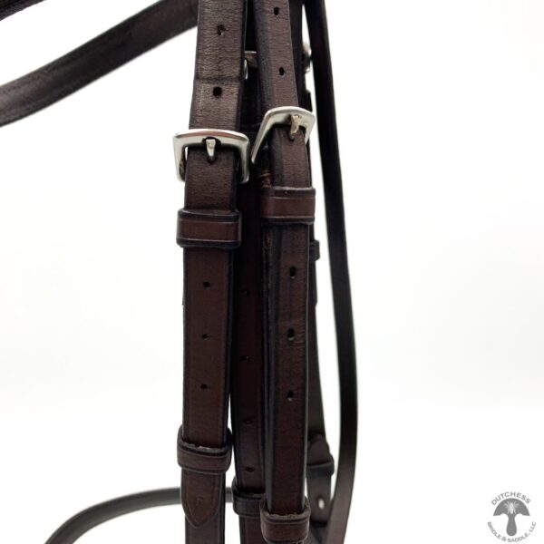 A close up of the bridle on a horse