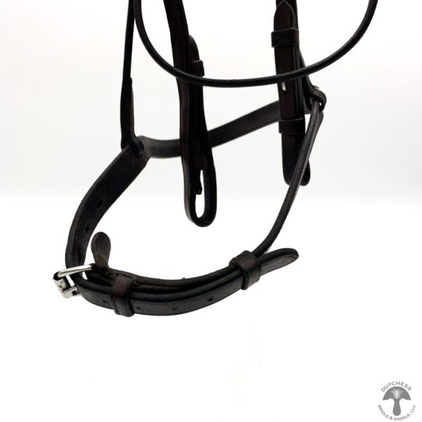 A close up of the bridle on a horse