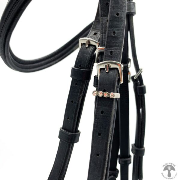 A close up of the bridle on a horse