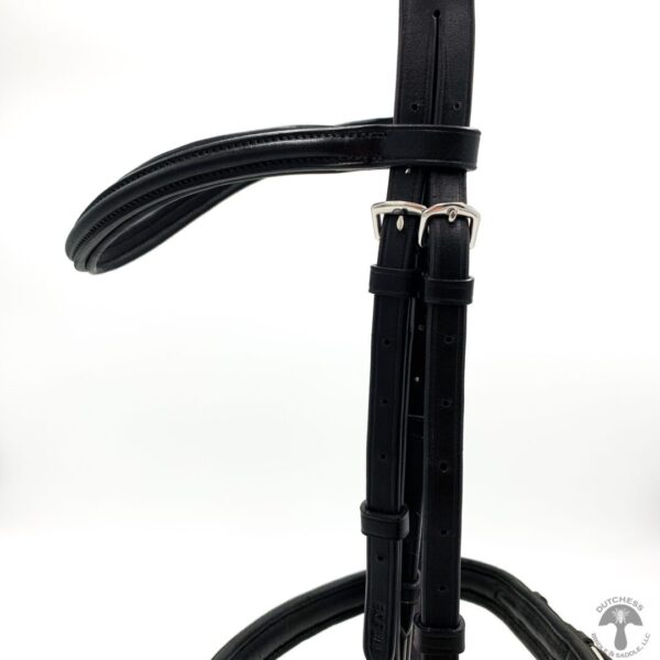 A close up of the bridle on a horse