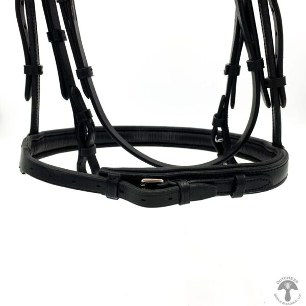 A close up of the bridle on a horse