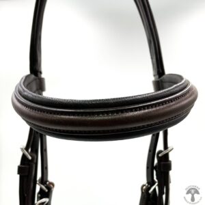 A close up of the bridle on a horse