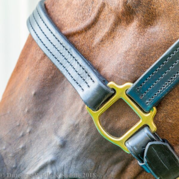 A close up of the bridle on a horse.