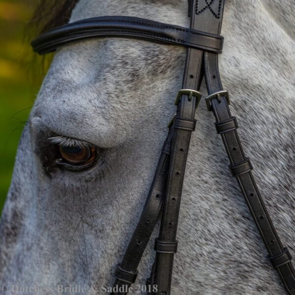 A close up of the face and bridle of a horse.