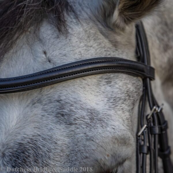 A close up of the bridle on a horse.