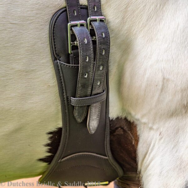 A close up of the front end of a horse riding saddle