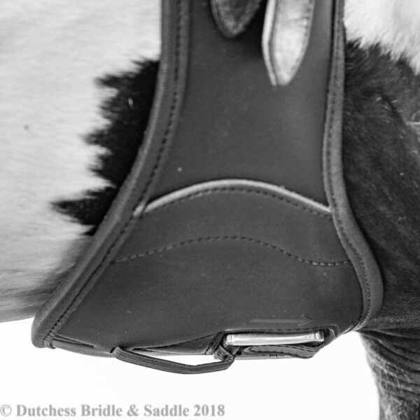 A close up of the bridle on a horse.