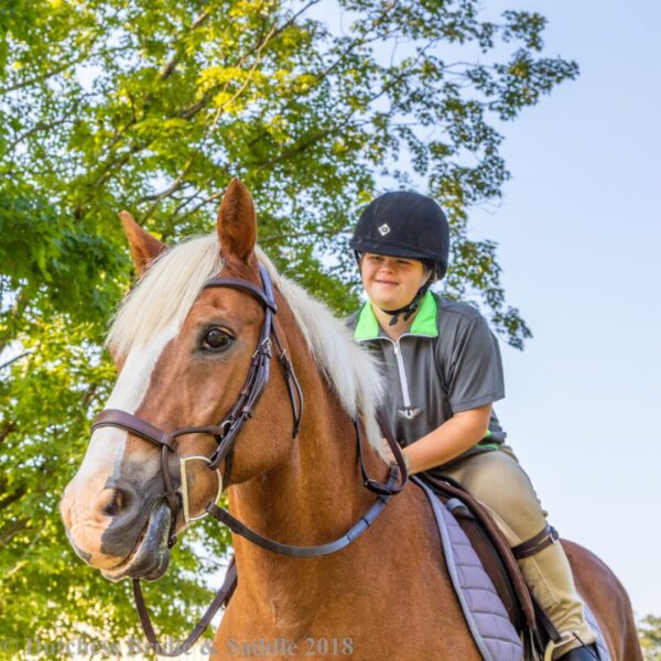 A person riding on the back of a horse.