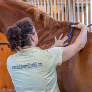 A woman is cutting the mane of a horse.