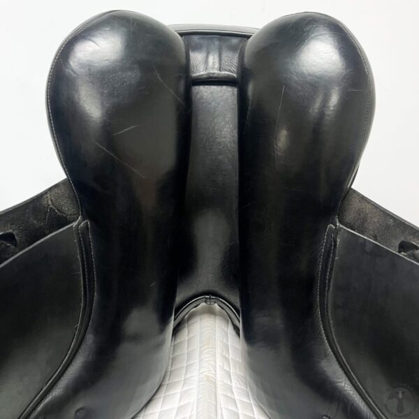 A close up of the back end of a horse.