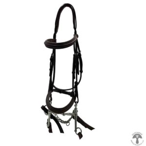 A black bridle and reins are on the ground.