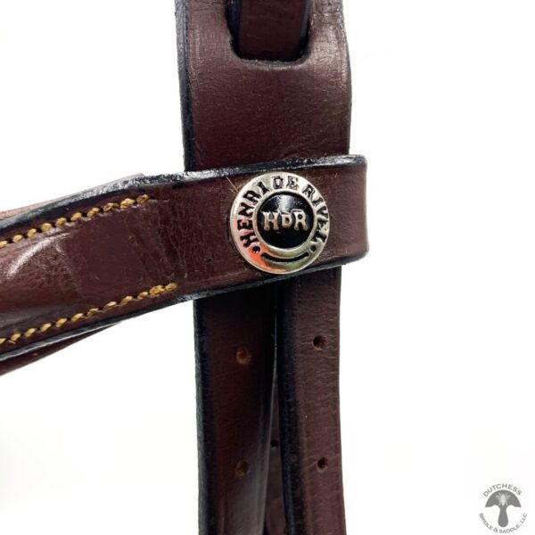 A close up of the bridle strap on a horse.