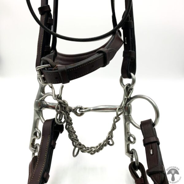 A close up of the bridle and bit on a horse