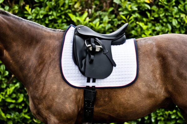 A horse with its saddle on the back of it.