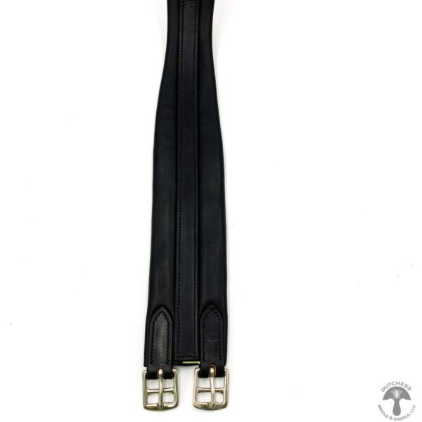 A black strap with two metal buckles.