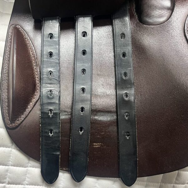 A close up of the straps on a horse 's saddle