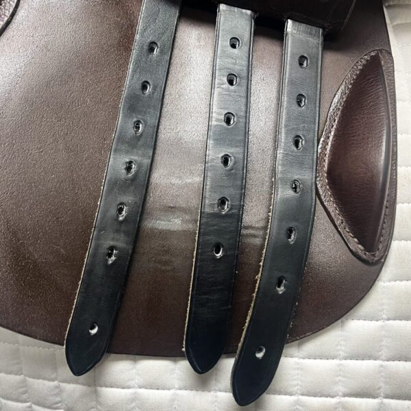 A close up of the straps on a horse.