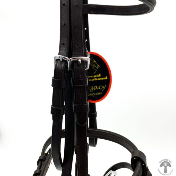 A close up of the bridle on a horse