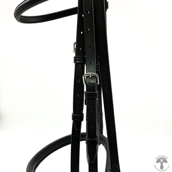 A close up of the bridle on a horse