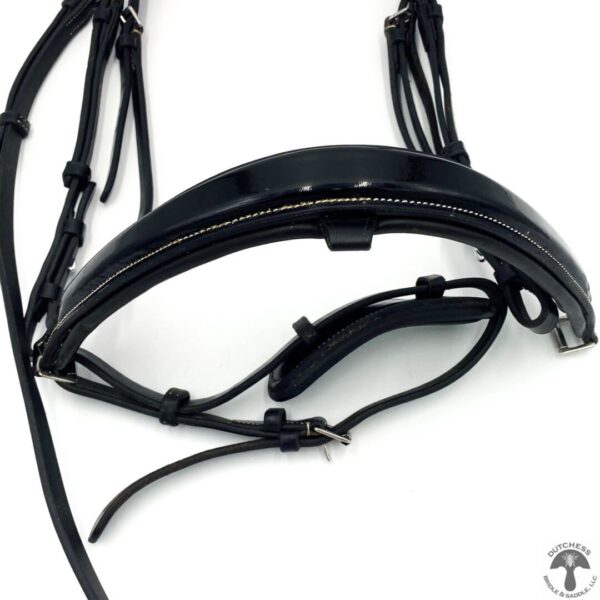 A close up of the bridle on a horse