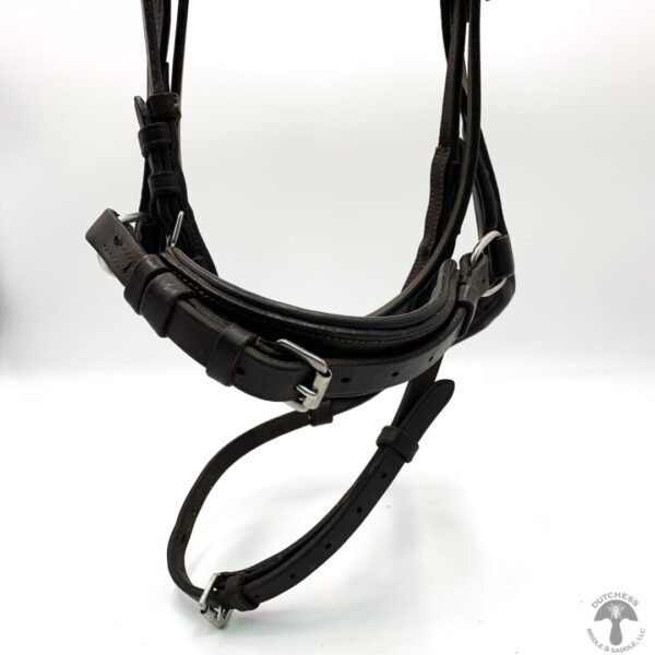 A close up of the bridle on a horse