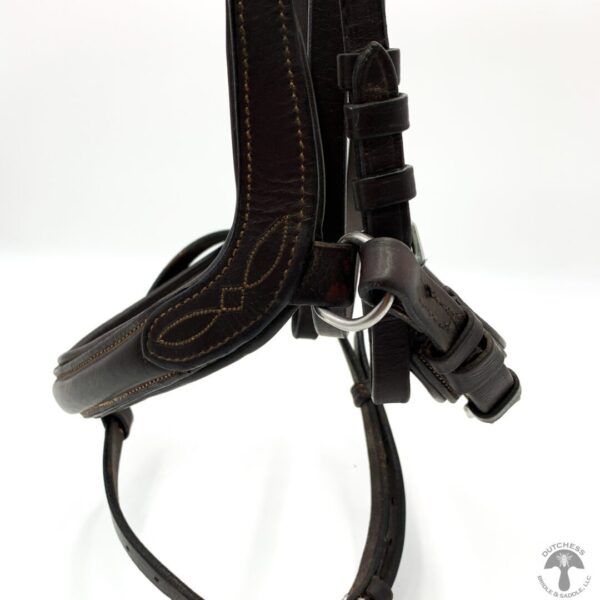 A close up of the bridle on a horse