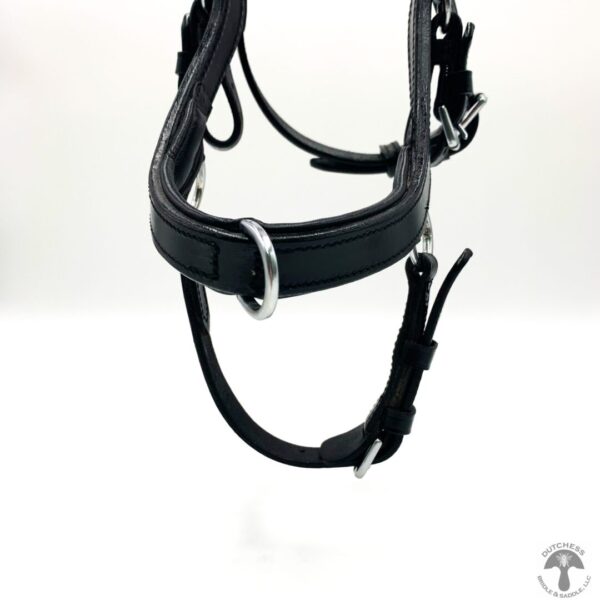 A close up of the bridle on a horse