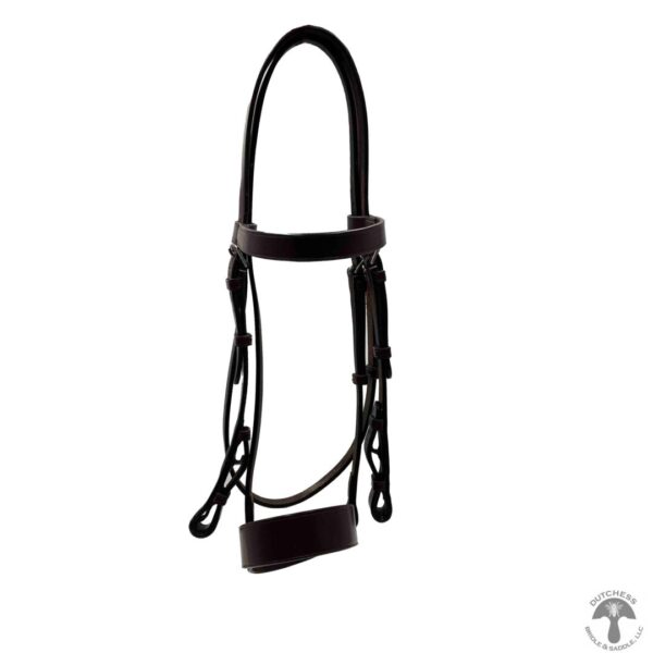 A close up of the bridle on a horse