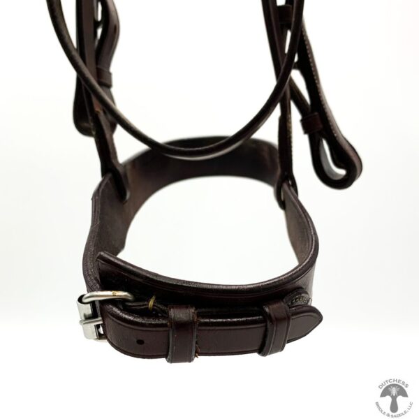 A close up of the bridle on a horse