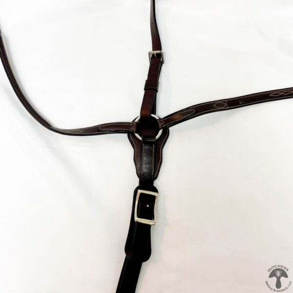 A close up of the harness on a horse