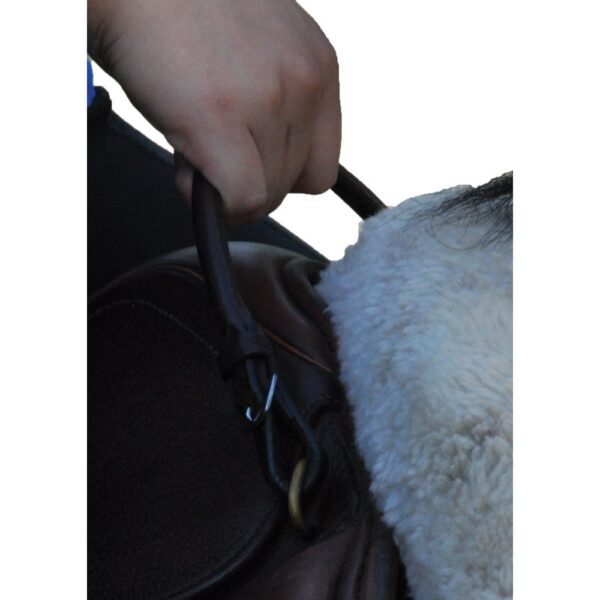 A person holding onto the bridle of their horse