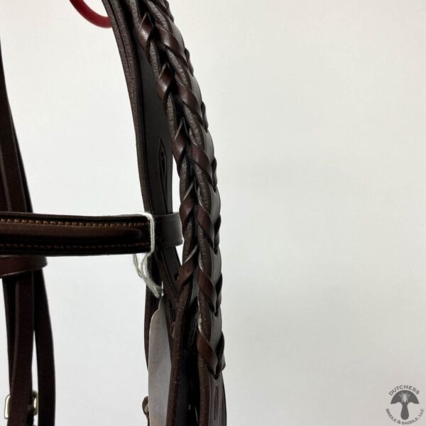 A close up of the bridle on a horse