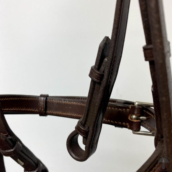 A close up of the bridle on a horse