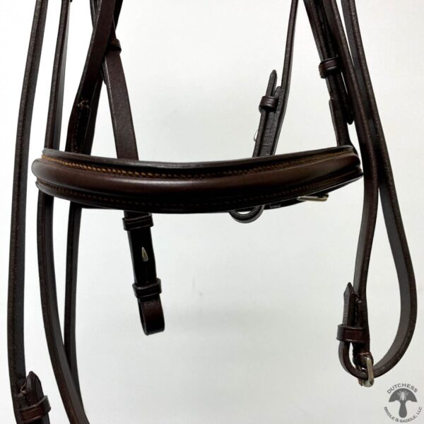 A close up of the bridle on a horse