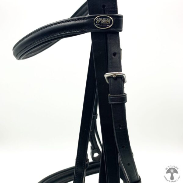 A close up of the bridle on a horse