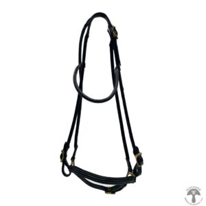 A black harness with two brass buckles on it.