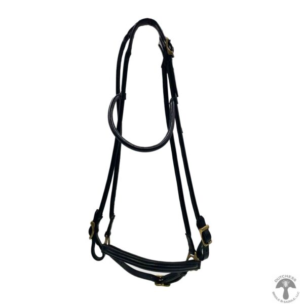 A black harness with two brass buckles on it.