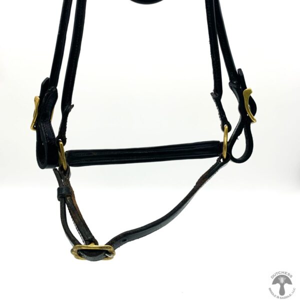 A close up of the bridle on a horse