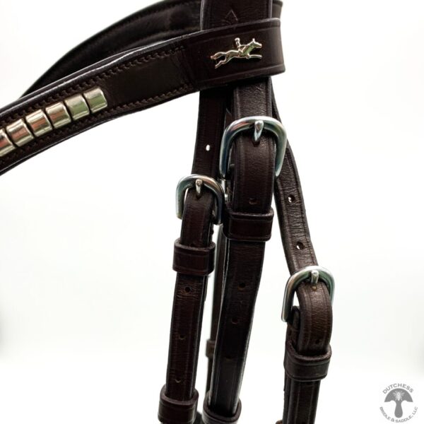 A close up of the bridle on a horse