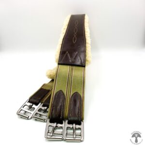 A pair of horse reins with brown and green leather.