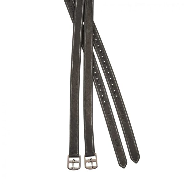 A pair of black leather riding reins with metal buckles.