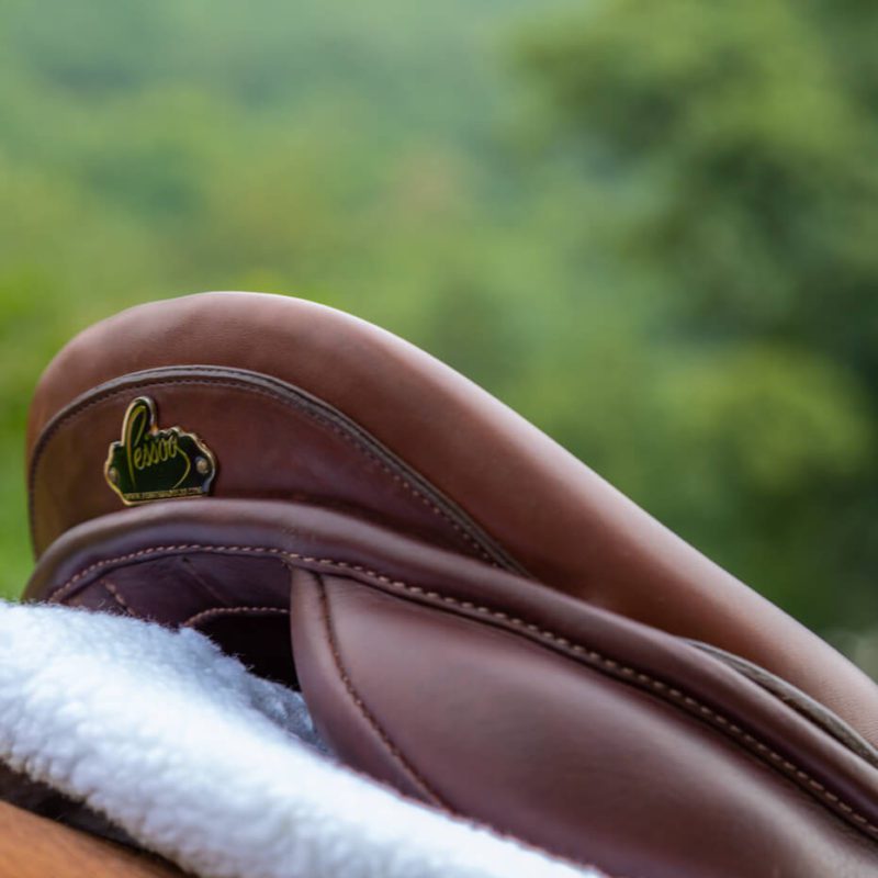 A close up of the saddle on a horse.