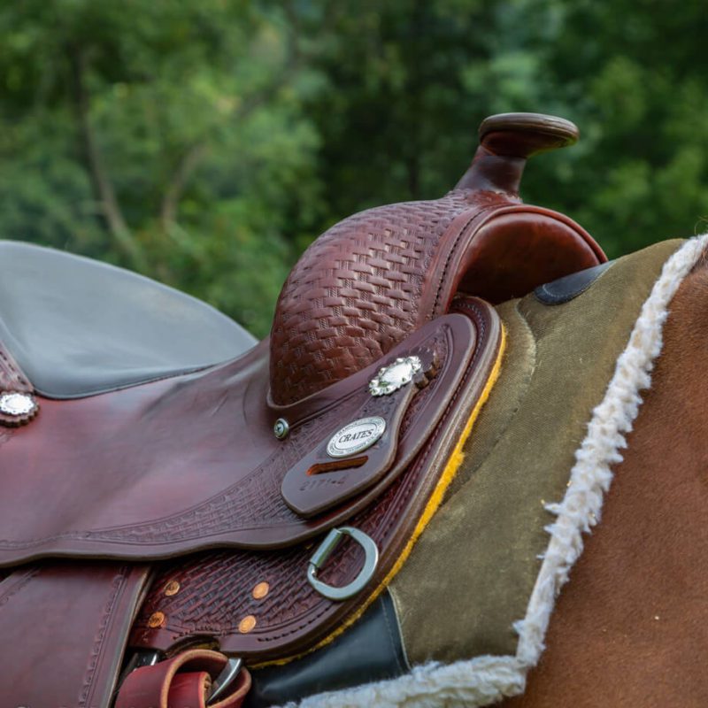 A close up of the saddle on a horse.