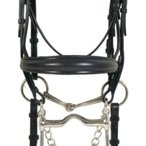 A black bridle with silver bits and a bit on the side of it.